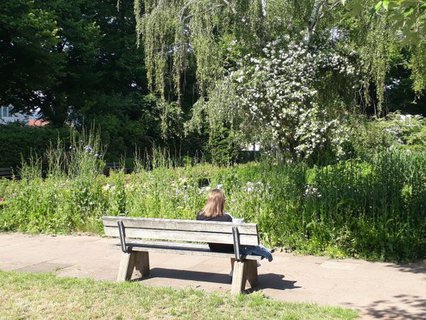 Person sitzt auf einer Bank im Park und liest ein Buch